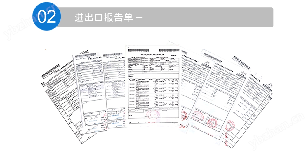 上海铂鳞贸易有限公司-进出口报告单