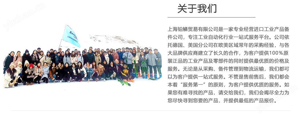 上海铂鳞贸易有限公司-关于我们