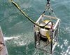 藻类群落结构扫描成像分析系统—浮标版CytoBuoy