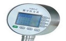 Y100型数字压力表