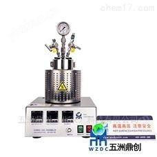 WZC-250北京厂家WZC系列磁力搅拌高压釜 磁力反应釜