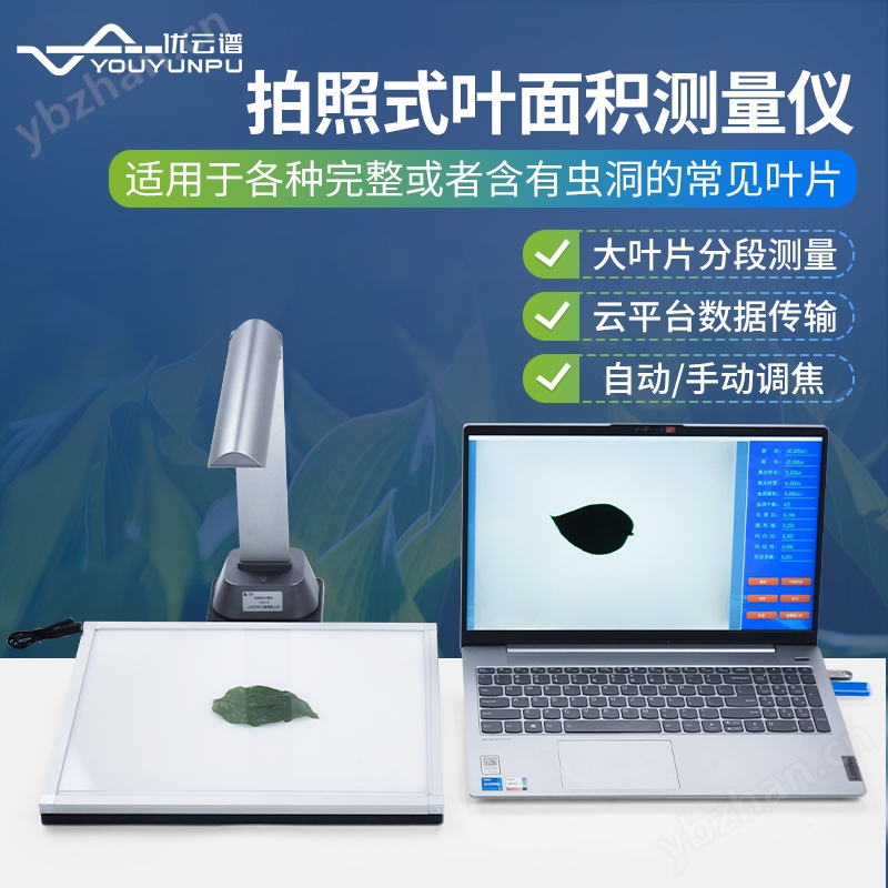 拍照式叶面积测量仪 优云谱 YMJ-P2 叶片图像分析仪