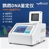 鹦鹉性别检测仪
