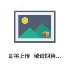 DP-SF型电子皂膜流量计/皂膜流量计/流量计