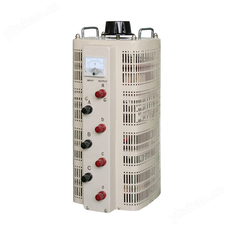 TSGC2调压器 TSGC2调压器