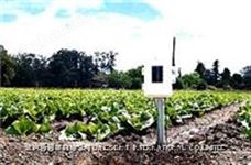06345 无线叶面和土壤湿度/温度站