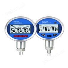 NKPD-100NKPD-100精密压力表