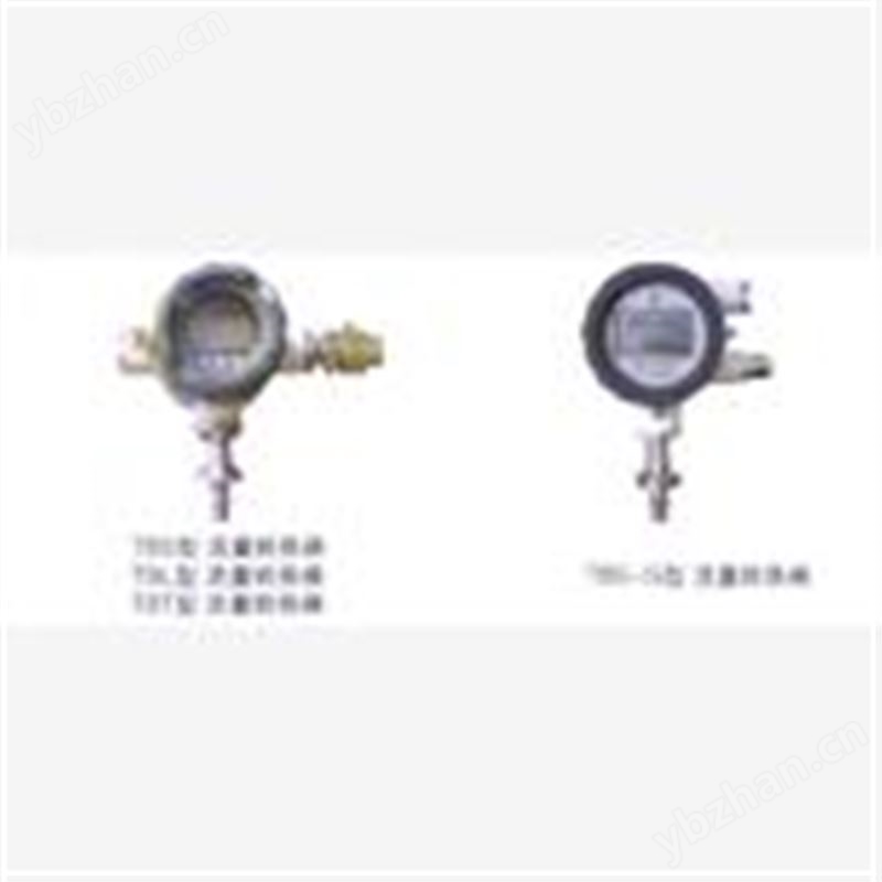 TBS/TBL/TBT涡轮流量转换器