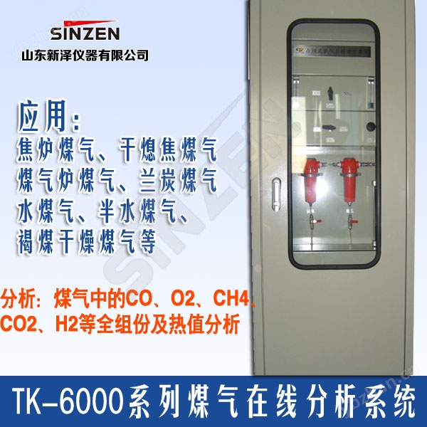 新泽仪器TK-6000型在线煤气热值分析系统