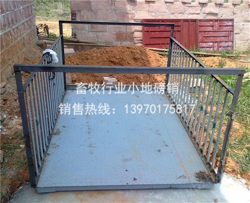 畜牧行业小地磅