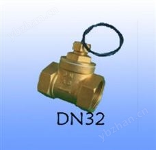 活塞式流量开关_可调式水流开关DN32