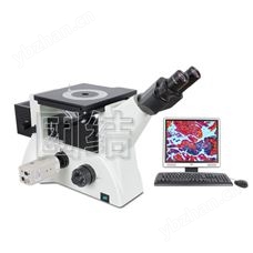 明暗场倒置 金相显微镜 TX-600V