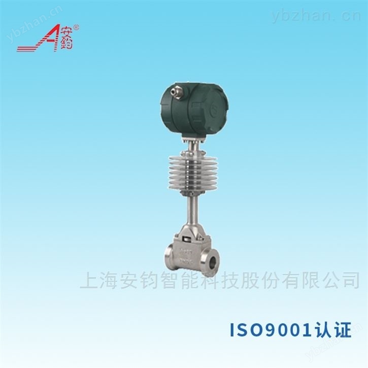 DN700沼气计量仪表