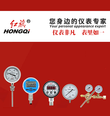 红旗仪表有限公司
