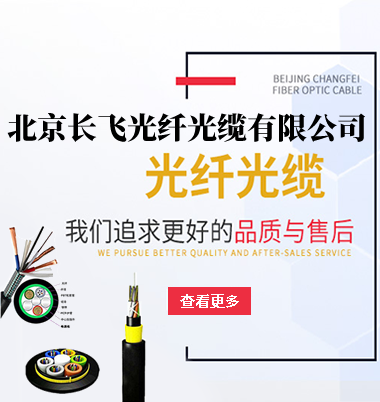 长飞