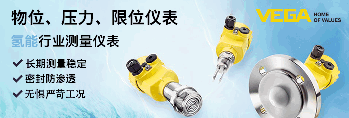 威格（中国）仪表有限公司