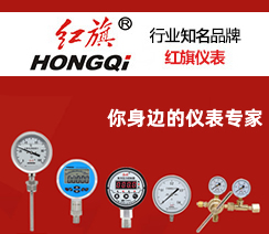 红旗仪表有限公司