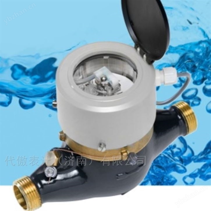 CORONA DP405工业控制水表