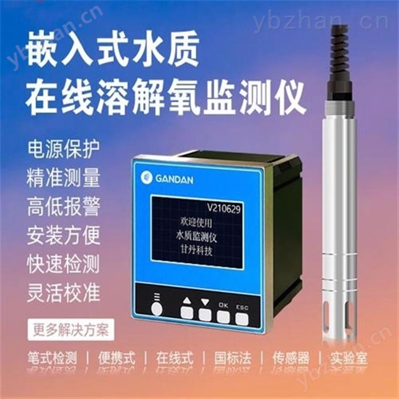 在线式溶解氧测定仪水质检测仪 溶解氧仪