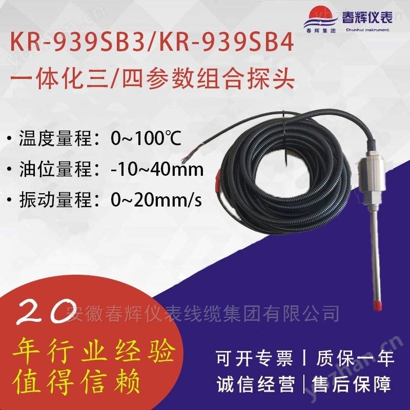防爆型三参数组合探头 组合开关