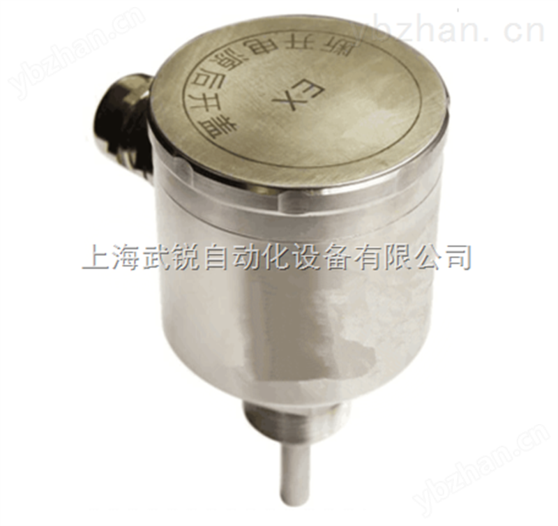 WRR12B防爆型流量开关