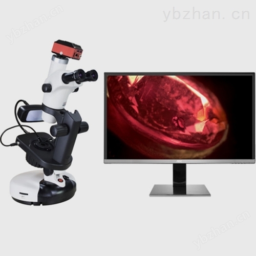 高清4K宝石显微镜