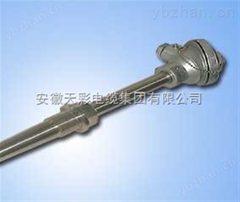 防爆热电偶厂家