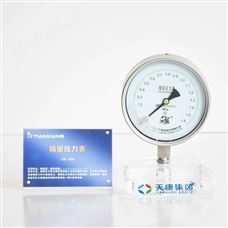 YB150B精密压力表