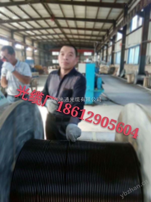 RVVP2*0.5仪表电缆线缆*