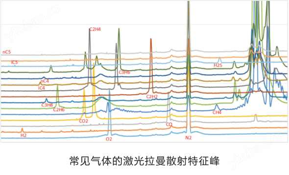 激光拉曼光谱气体分析仪