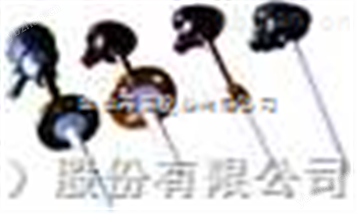 WZP-430F高温防腐热电阻