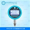 MY-GJ100-G05精密数字压力表