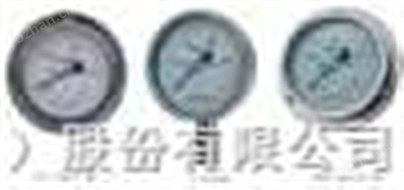 防爆安全型压力表