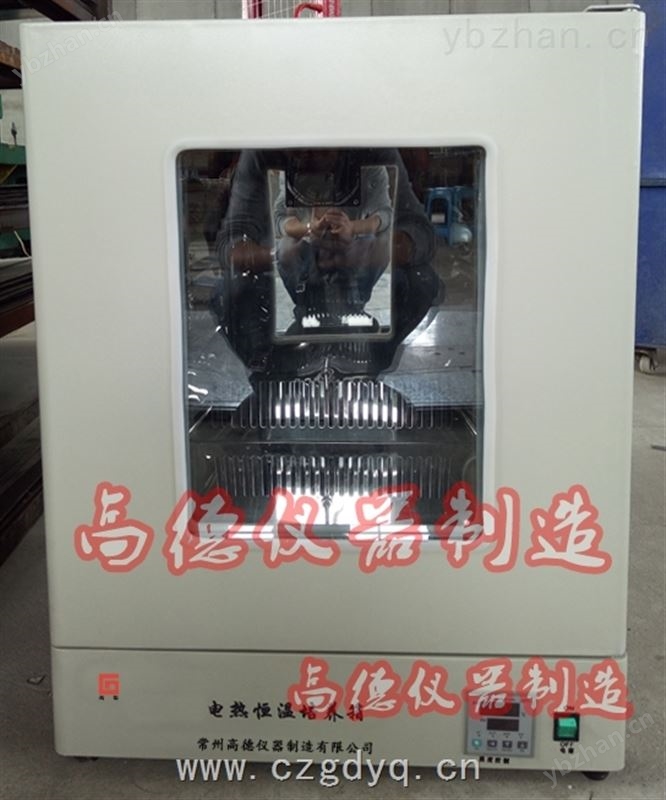 数显电热恒温培养箱