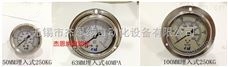 0-25MPA_0-40MPA中国台湾CNI铨仪埋入式充油带边压力表_60表面0-25MPA_0-40MPA-防爆压力表 防爆压力