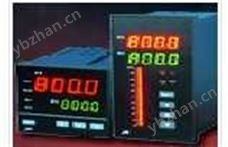 YW9000系列天康数显表
