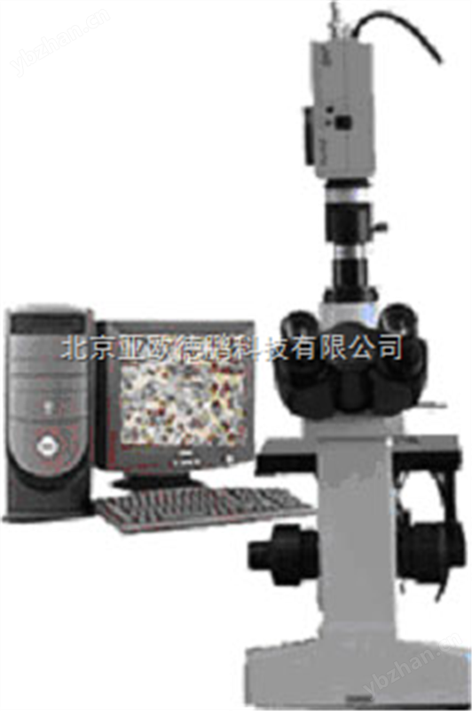 倒置金相显微镜/金相显微镜/电脑型三目倒置式金相显微镜