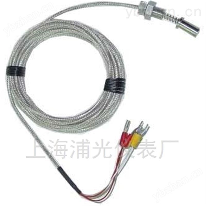WRR-010铂铑热电偶