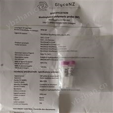 0058-BPGlycoTech上海创亚 现货