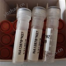 Coriell Institute货号NA12878上海鼎桑现货