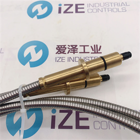ABB火检光纤SF810-F0-G-2400N 爱泽工业 izeindustries (1).JPG