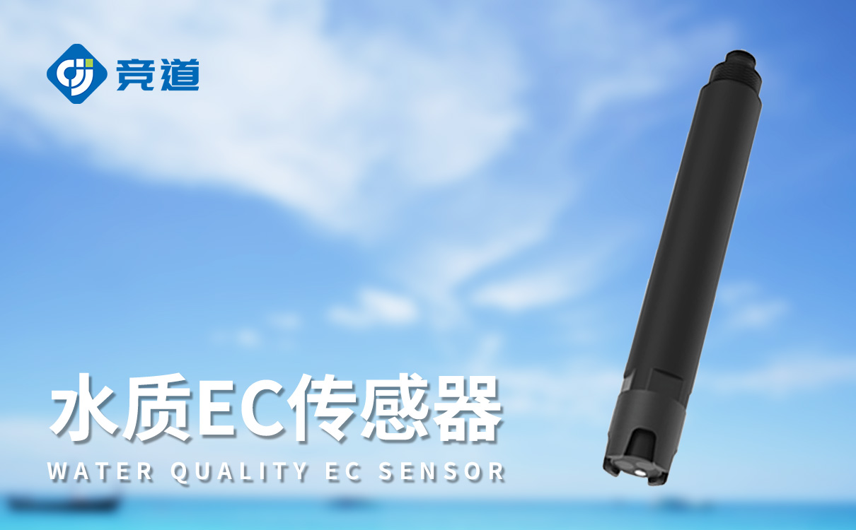 在线电导率水温传感器