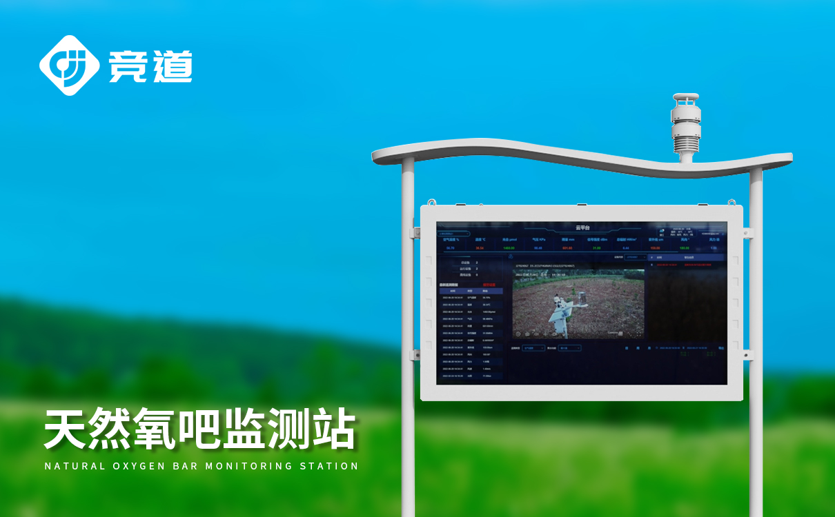国产大气负氧离子自动监测系统