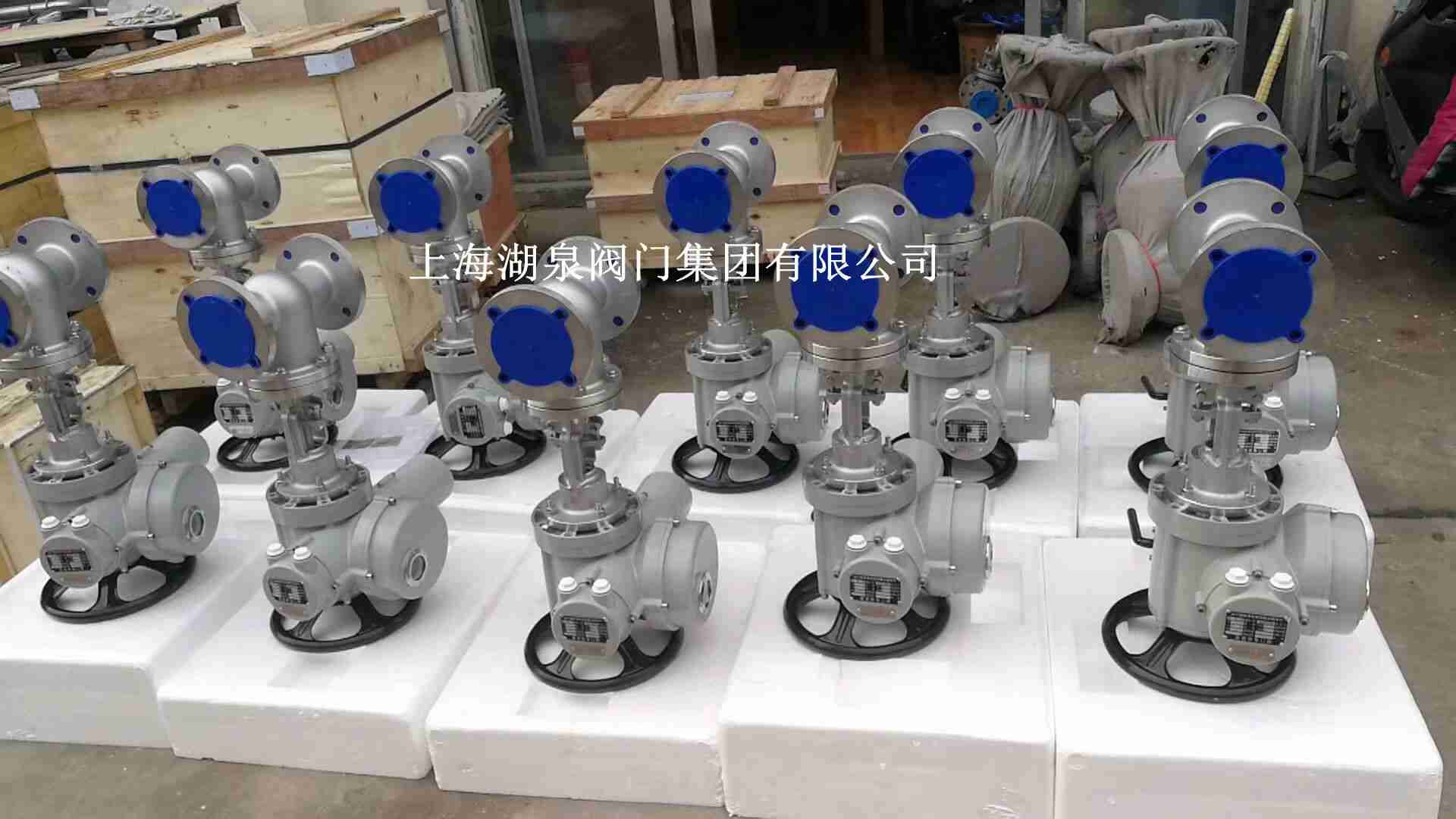 DN8电动闸阀_副本.jpg