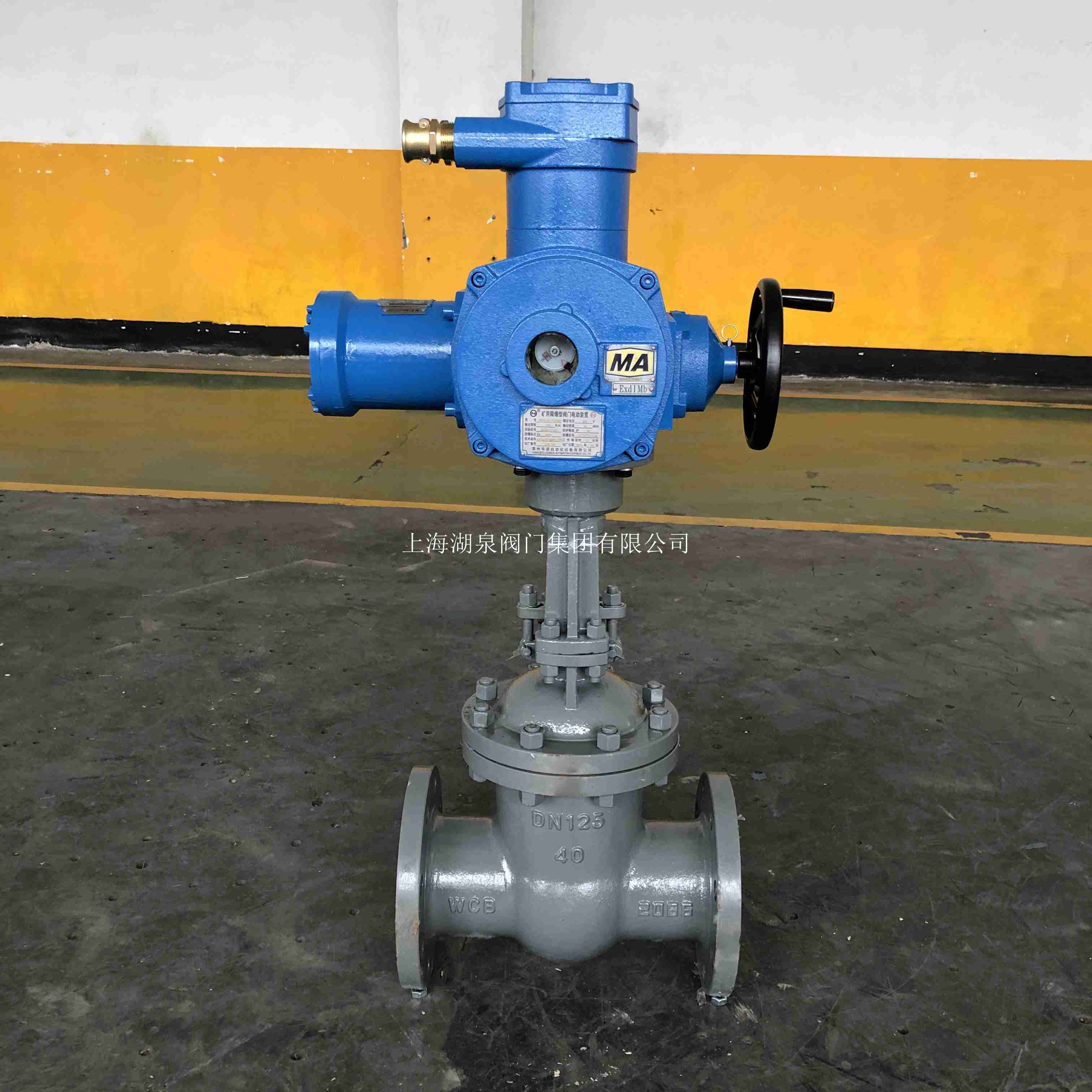ZB45-24 ,ZB90-24（380/660）隔爆电动装置的技术参数