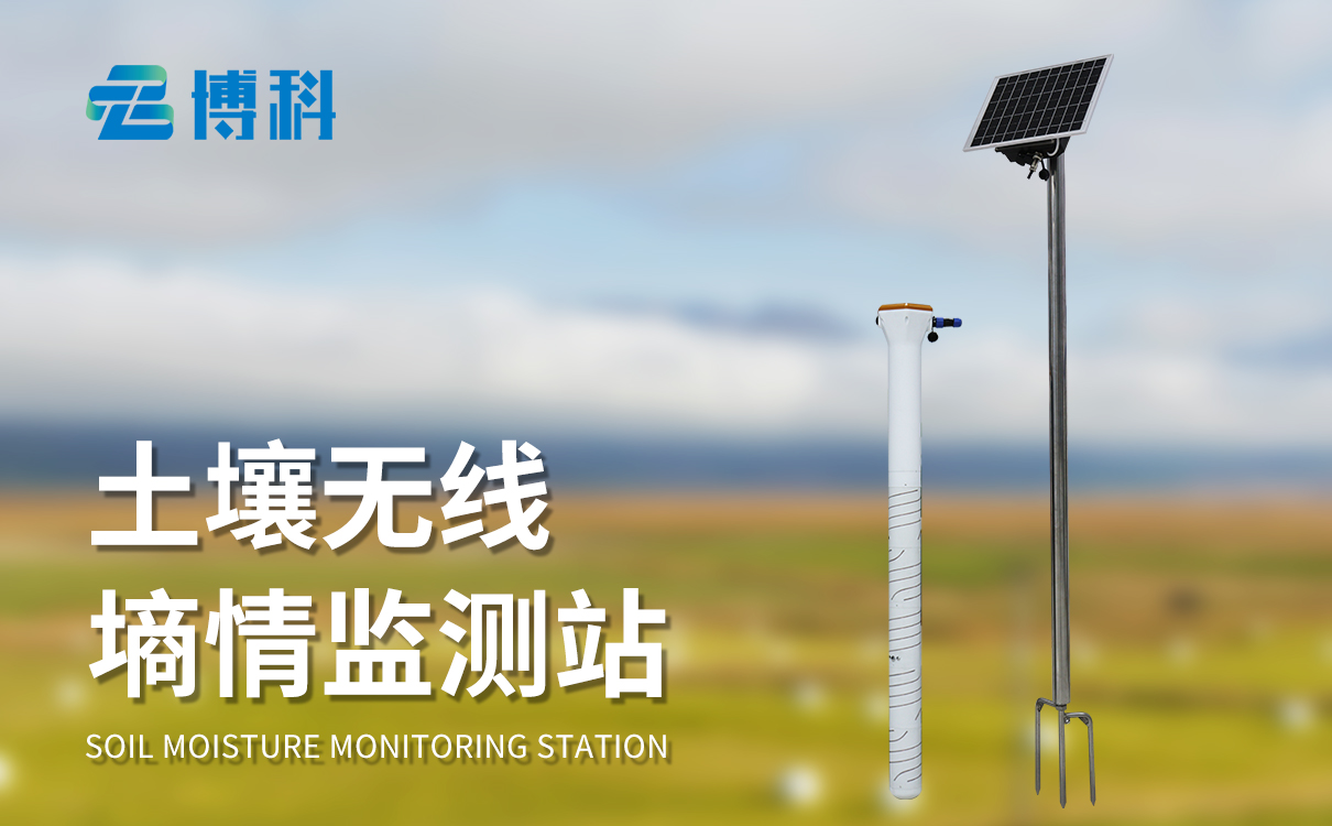 土壤剖面水分速测仪