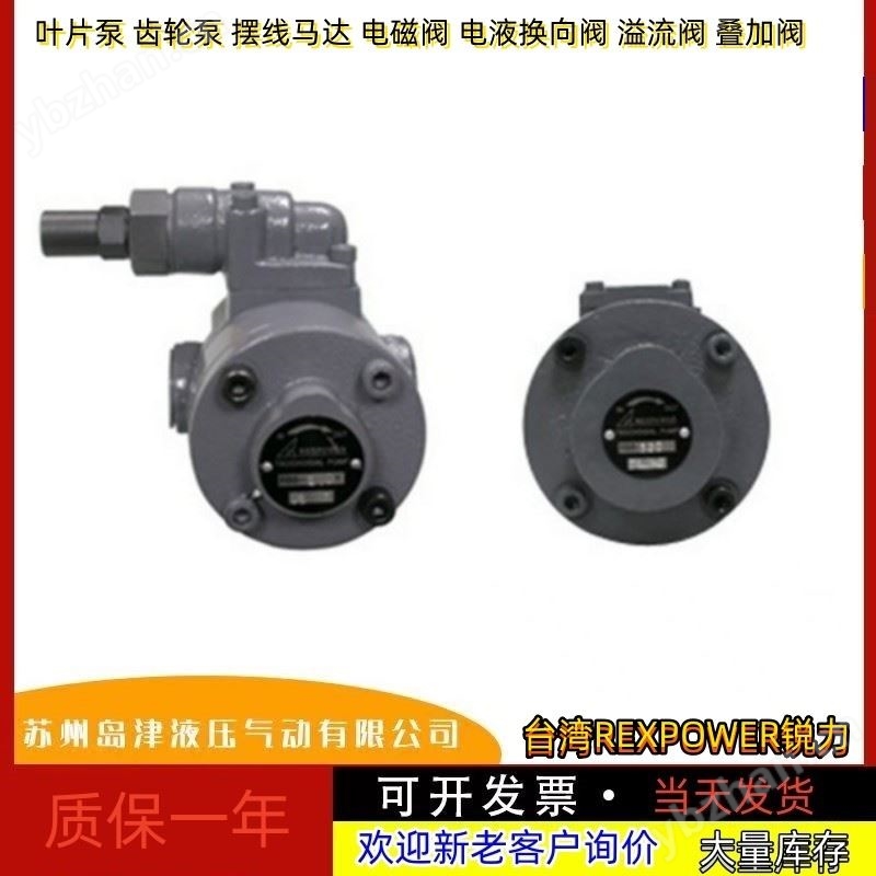 齿轮泵 锐力摆线齿轮泵中国台湾REXPOWER锐力