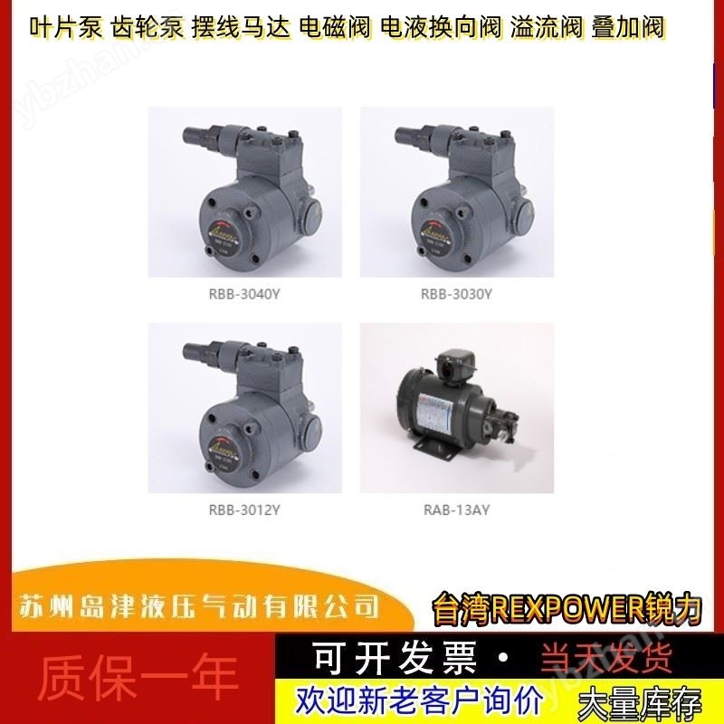 齿轮泵 锐力双联齿轮泵中国台湾REXPOWER锐力