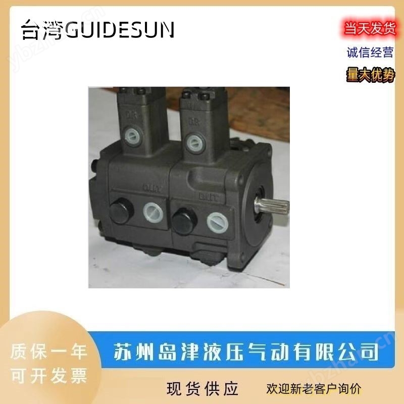 液压泵 GUIDESUN液压油泵中国台湾双联泵