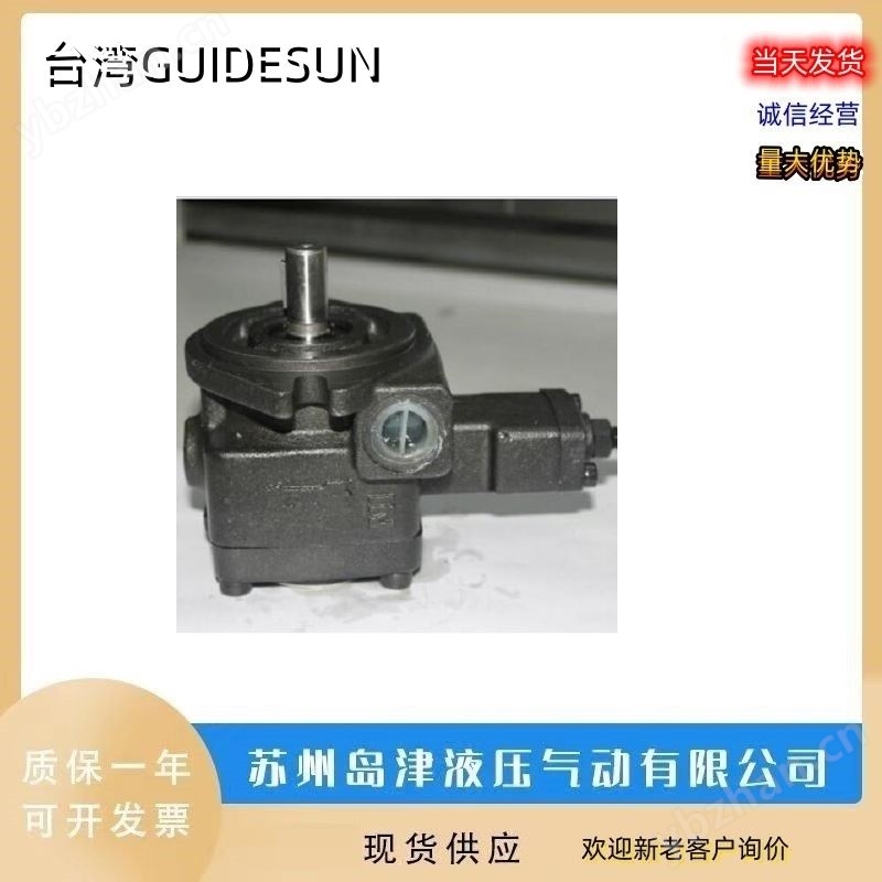 液压泵 GUIDESUN液压油泵中国台湾双联泵